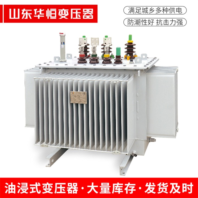 S13-10000/35洪雅洪雅洪雅电力变压器